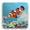 aniPet Aquarium Live Wallpaper