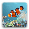 aniPet Aquarium LiveWallpaper