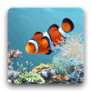 aniPet Aquarium LiveWallpaper