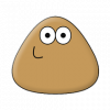 Pou