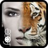 Beauty Face Plus :  face morphing