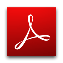 Adobe Flash Player