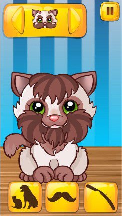 Pet Beard Salon